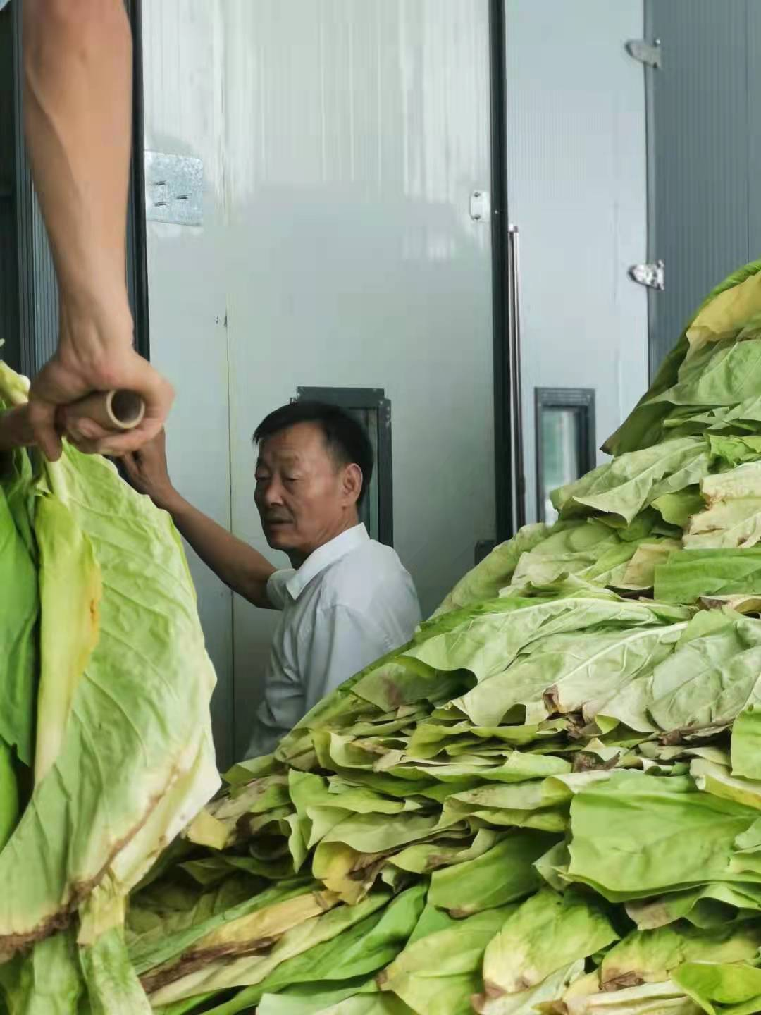 圖片1.png